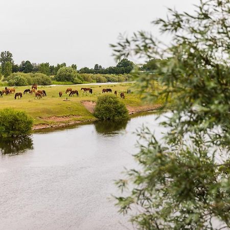 Thoeles*** Am Allerpark Verden Verden an der Aller Buitenkant foto