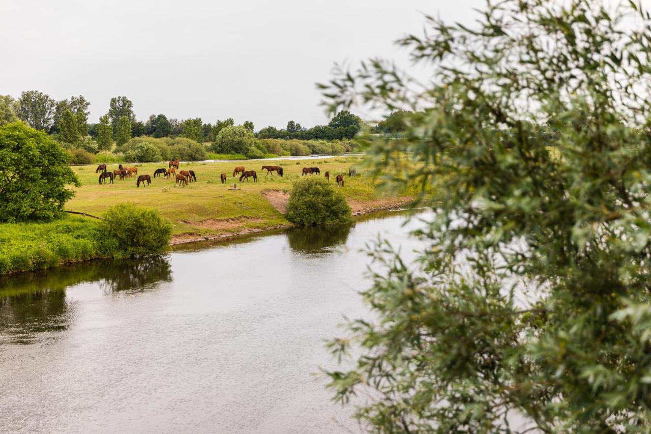 Thoeles*** Am Allerpark Verden Verden an der Aller Buitenkant foto
